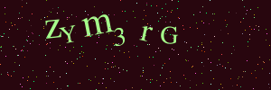 Validation image